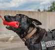 USA-K9 Firecracker Durable Rubber Floating Training Dummy