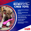 MKB Bone Ultra Durable Nylon Dog Chew Toy for Aggressive Chewers