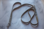 Hands Free Biothane Leash