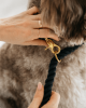 Cotton Rope Dog Leash