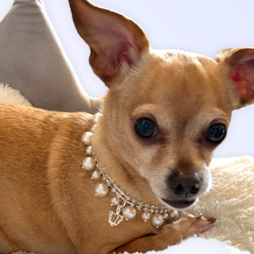 Rhinestone & Pearl Crown Necklace (size: 10")