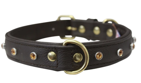 Athens Dog Collar by Angel Rhinestone Collar, 22" X 1", Chocolate Brown (Color: Chocolate Brown, size: large)