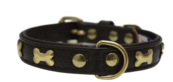 Rotterdam Bones Dog Collar by Angel 14" X 3/4" , Chocolate Brown (Color: Chocolate Brown, size: small)