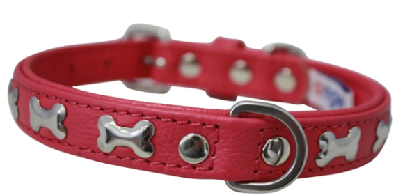 Rotterdam Bones Dog Collar by Angel 14" X 3/4" , Hot Pink (Color: Hot Pink, size: small)