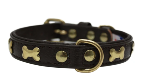 Rotterdam Bones Dog Collar by Angel 16" X 3/4" , Chocolate Brown (Color: Chocolate Brown, size: Small/Medium)