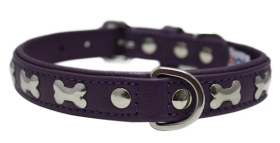 Rotterdam Bones Dog Collar by Angel 16" X 3/4" , Orchid Purple (Color: Orchid Purple, size: Small/Medium)