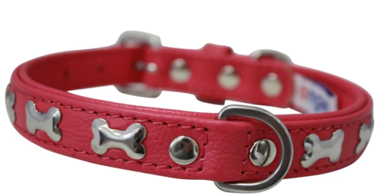 Rotterdam Bones Dog Collar by Angel 16" X 3/4" , Hot Pink (Color: Hot Pink, size: Small/Medium)