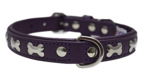 Rotterdam Bones Dog Collar by Angel 18" X 3/4" , Orchid Purple (Color: Orchid Purple, size: medium)