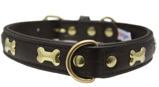 Rotterdam Bones Dog Collar by Angel 22" X 1" , Chocolate Brown (Color: Chocolate Brown, size: large)