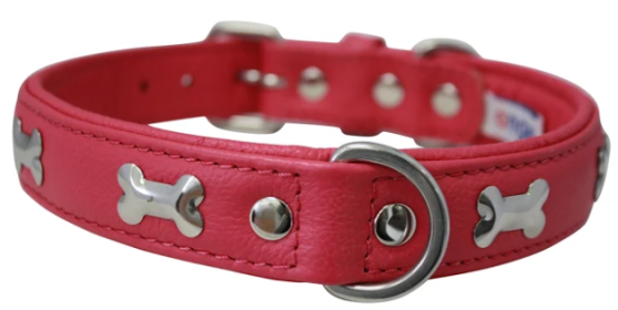 Rotterdam Bones Dog Collar by Angel 22" X 1" , Hot Pink (Color: Hot Pink, size: large)