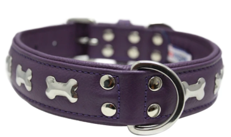 Rotterdam Bones Dog Collar by Angel 24" X 1.25" , Orchid Purple (Color: Orchid Purple, size: Xlarge)