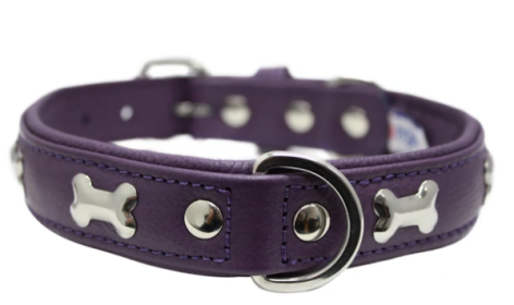 Rotterdam Bones Dog Collar by Angel 20" x 1", Orchid Purple (Color: Orchid Purple, size: M/Large)